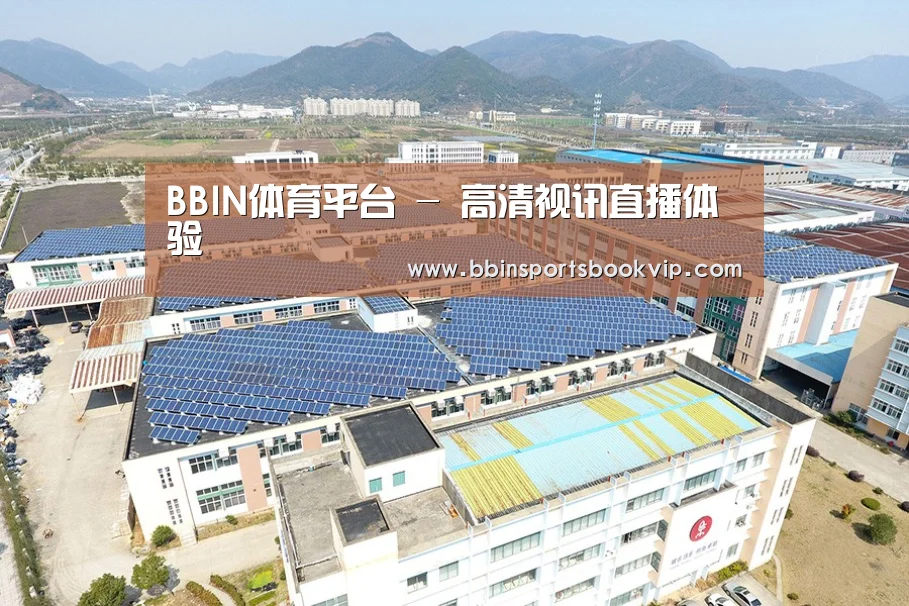 案例展示二