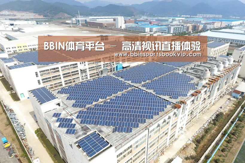 案例展示三