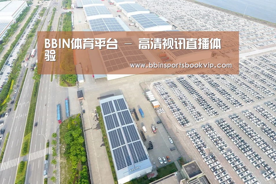 案例展示一
