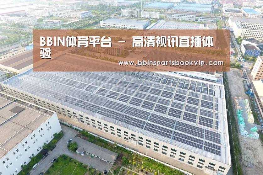 案例展示三