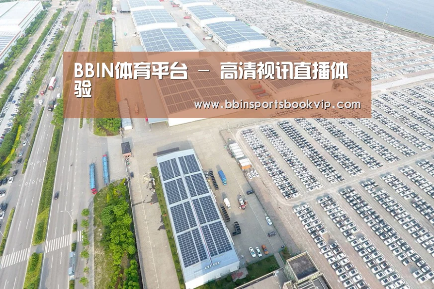 案例展示一