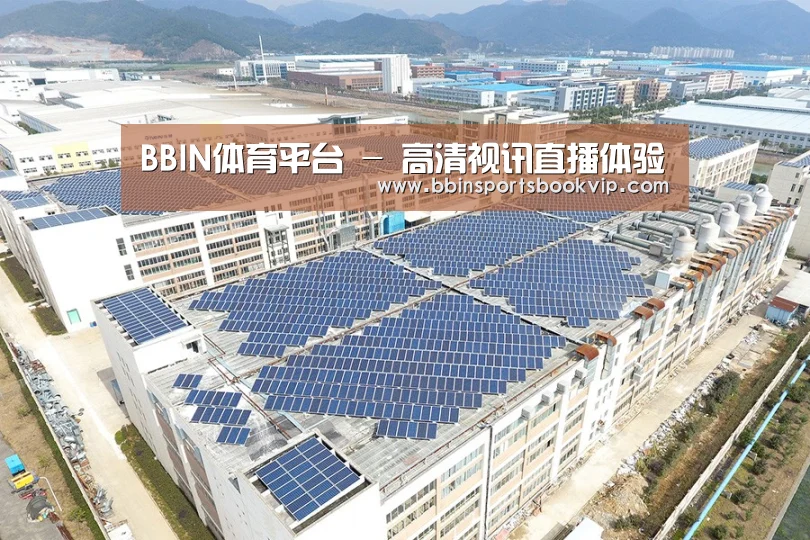 案例展示四