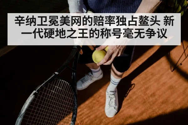 辛纳卫冕美网的赔率独占鳌头 新一代硬地之王的称号毫无争议