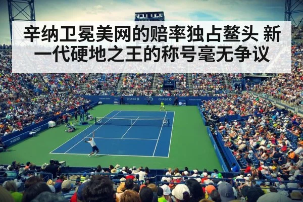 US Open tennis court